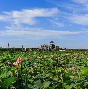 谌龙场均17+8的内后续来了的简单介绍